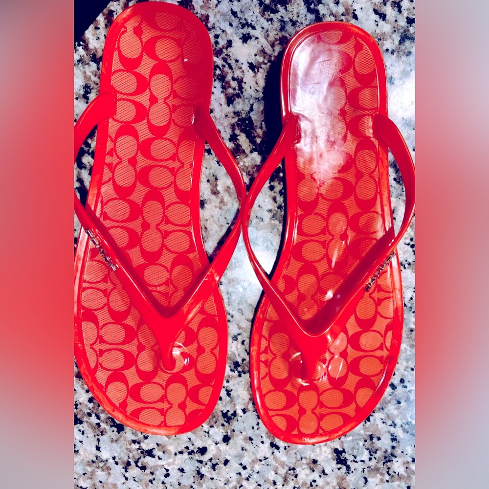 Ladies coach slides